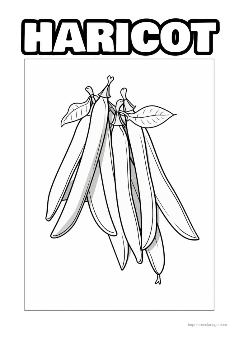 coloriage haricot petit pois gousses de haricots et feuilles 43 - dessin gratuit &agrave; imprimer