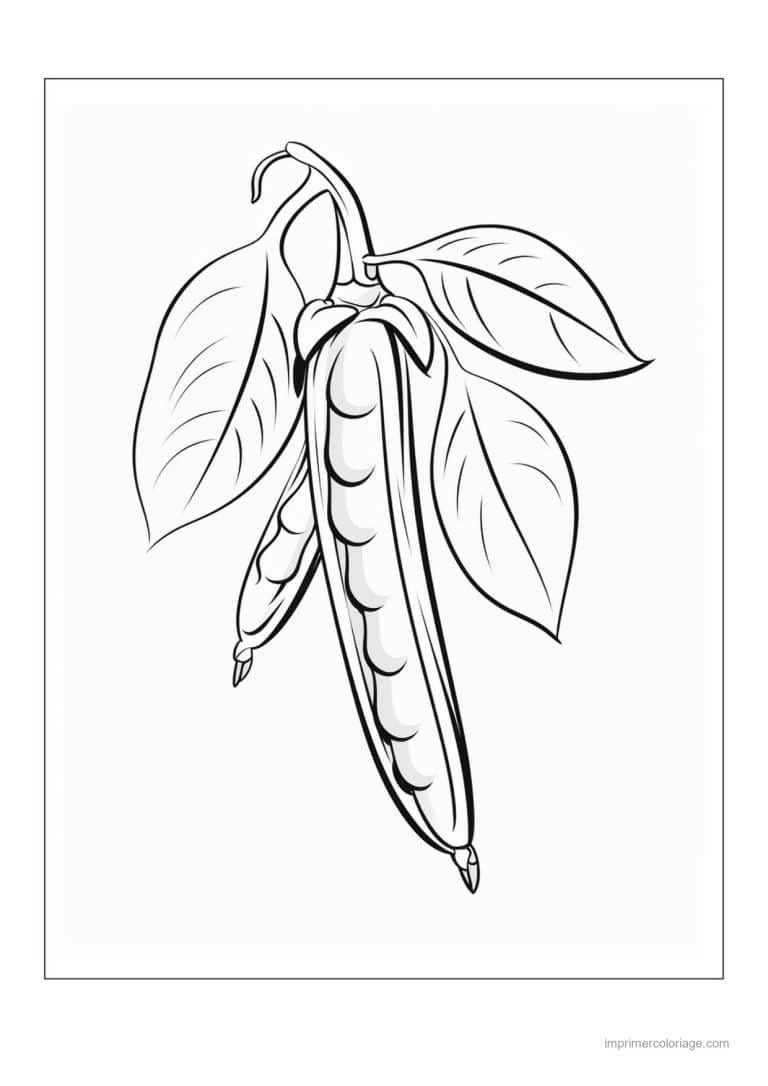 coloriage haricot petit pois gousses de haricots et feuilles 44 - dessin gratuit &agrave; imprimer