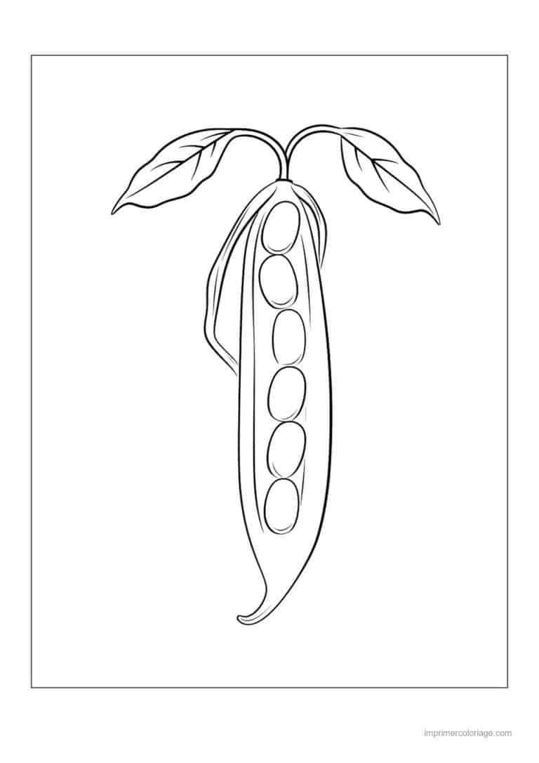 coloriage haricot petit pois gousses de haricots et feuilles 45 - dessin gratuit &agrave; imprimer