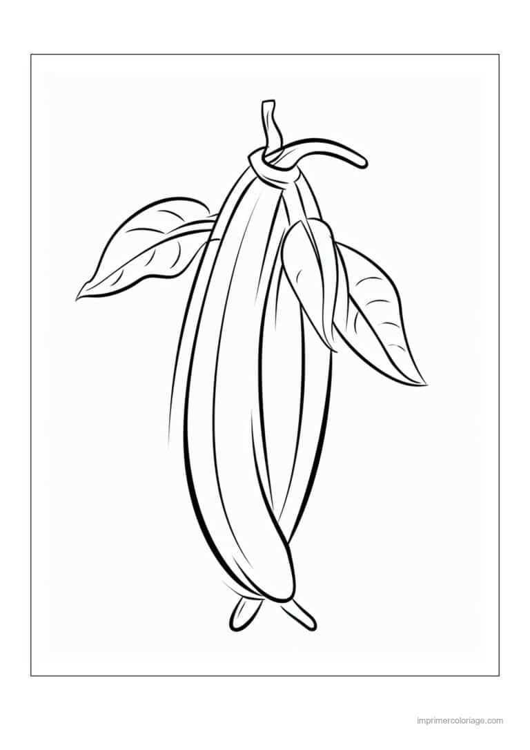 coloriage haricot petit pois gousses de haricots et feuilles 46 - dessin gratuit &agrave; imprimer