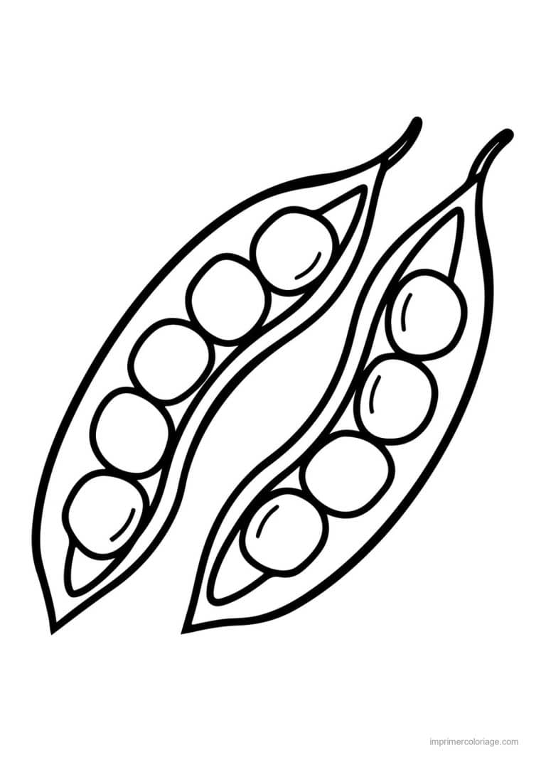 coloriage haricot petit pois gousses de petits pois - dessin gratuit &agrave; imprimer