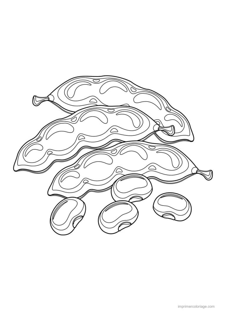 coloriage haricot petit pois haricots verts et leurs graines - dessin gratuit &agrave; imprimer