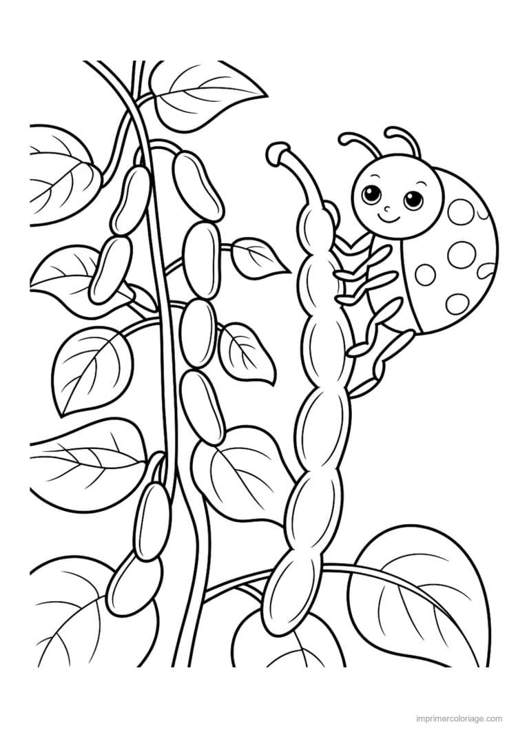 coloriage haricot petit pois plant de feves et coccinelle - dessin gratuit &agrave; imprimer