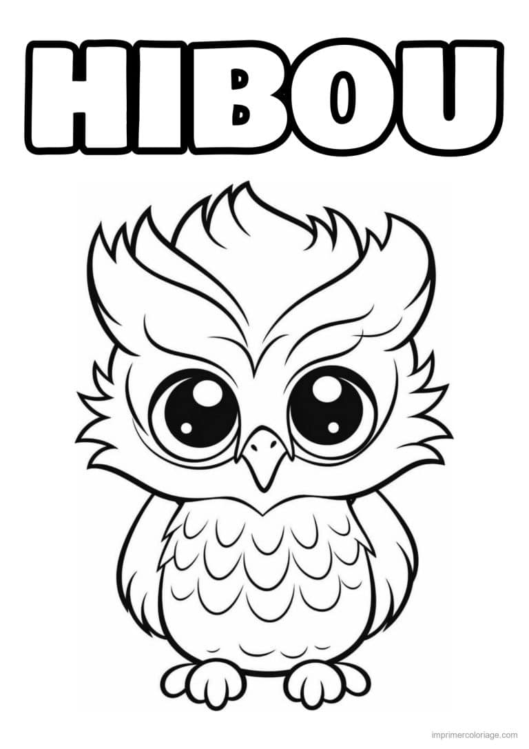 coloriage hibou kawai grands yeux - dessin gratuit &agrave; imprimer