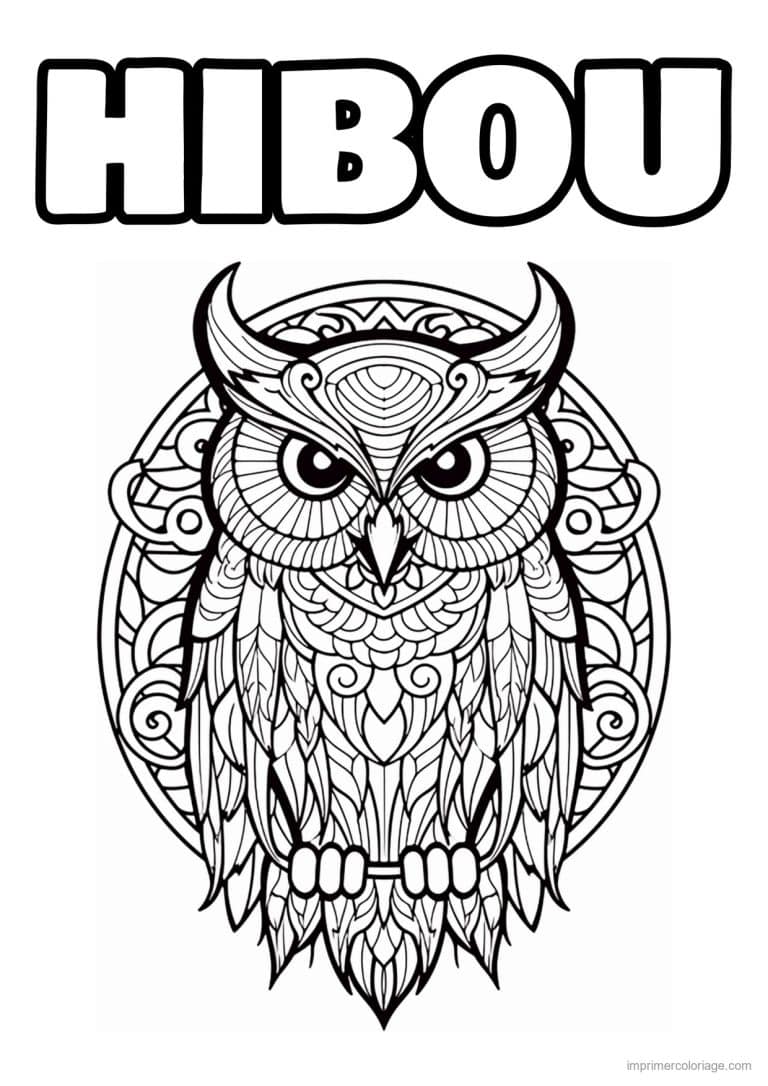 coloriage hibou mandala plumes - dessin gratuit &agrave; imprimer