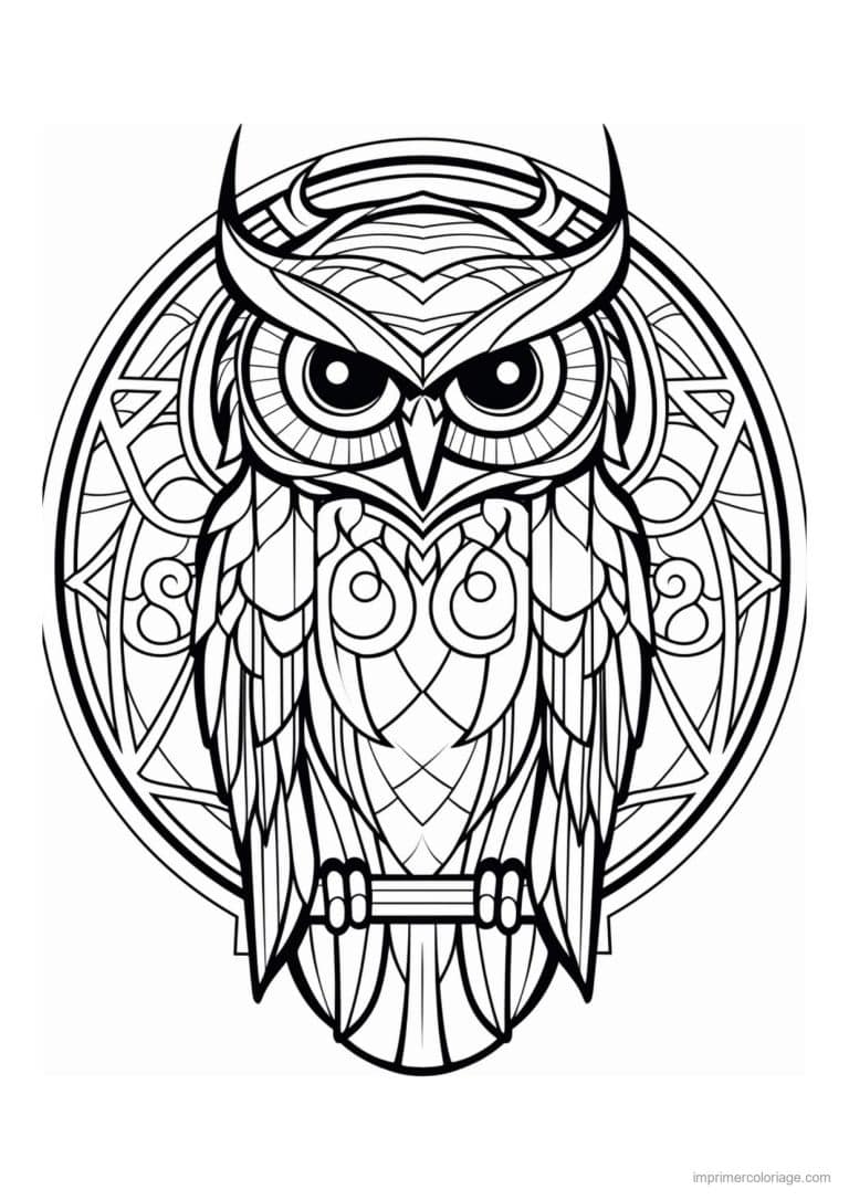 coloriage hibou vitrail medaillon rond - dessin gratuit &agrave; imprimer