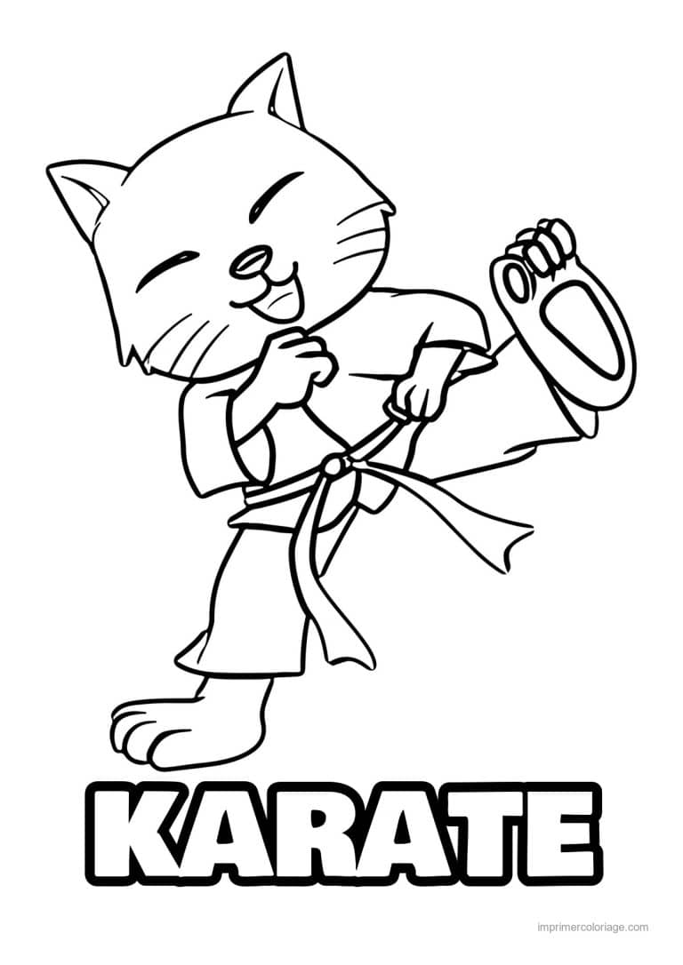 coloriage karate chat karate - dessin gratuit &agrave; imprimer