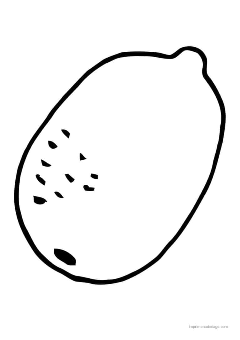coloriage kiwi kiwi entier - dessin gratuit &agrave; imprimer