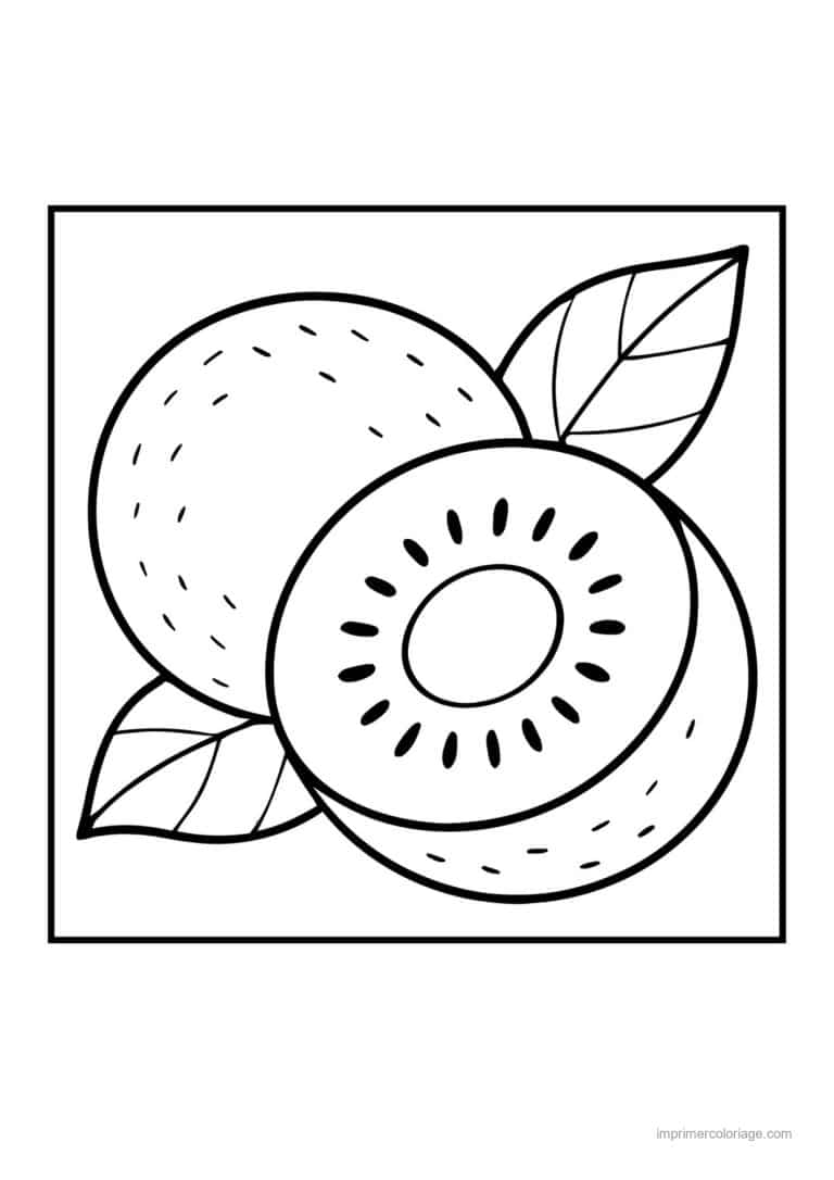 coloriage kiwi kiwi entier et coupe - dessin gratuit &agrave; imprimer