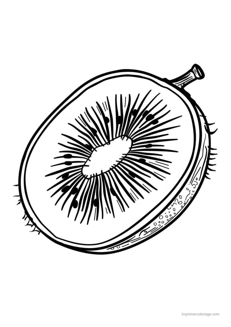 coloriage kiwi kiwi entier et coupe 113 - dessin gratuit &agrave; imprimer