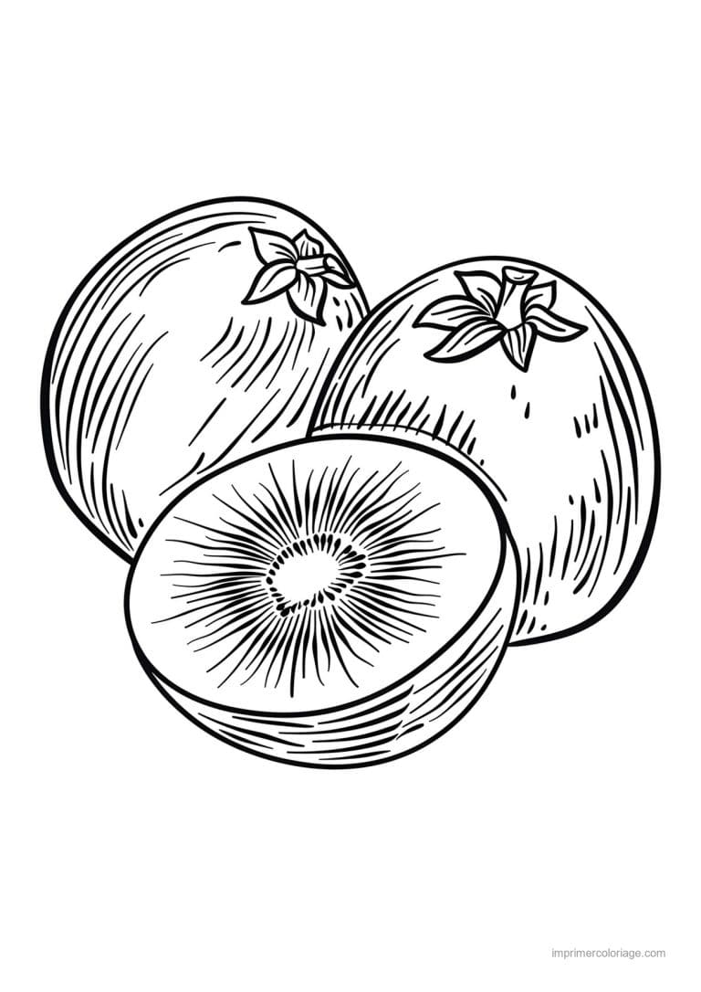 coloriage kiwi kiwi entier et coupe 121 - dessin gratuit &agrave; imprimer