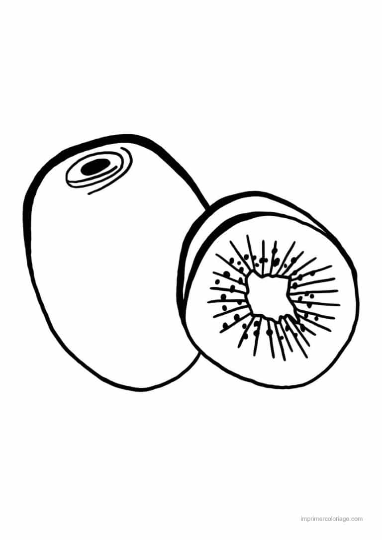 coloriage kiwi kiwi entier et coupe 4 - dessin gratuit &agrave; imprimer