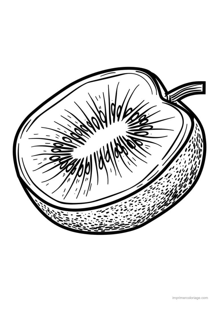 coloriage kiwi kiwi grave 97 - dessin gratuit &agrave; imprimer