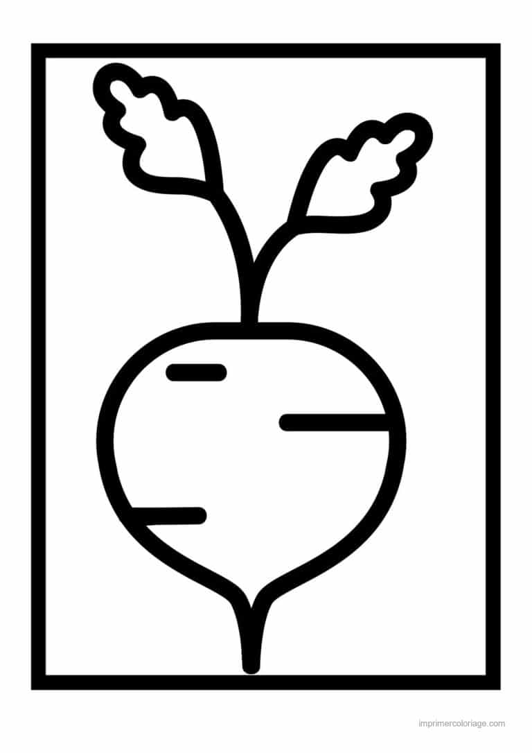 coloriage legumes betterave au trait epais - dessin gratuit &agrave; imprimer