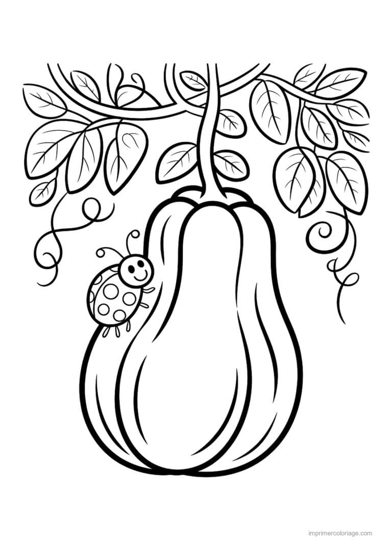 coloriage legumes courge suspendue et coccinelle - dessin gratuit &agrave; imprimer