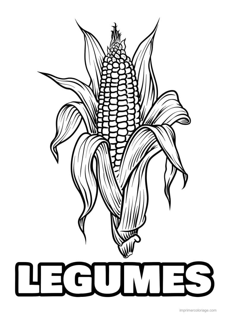 coloriage legumes epi de mais grave 15 - dessin gratuit &agrave; imprimer