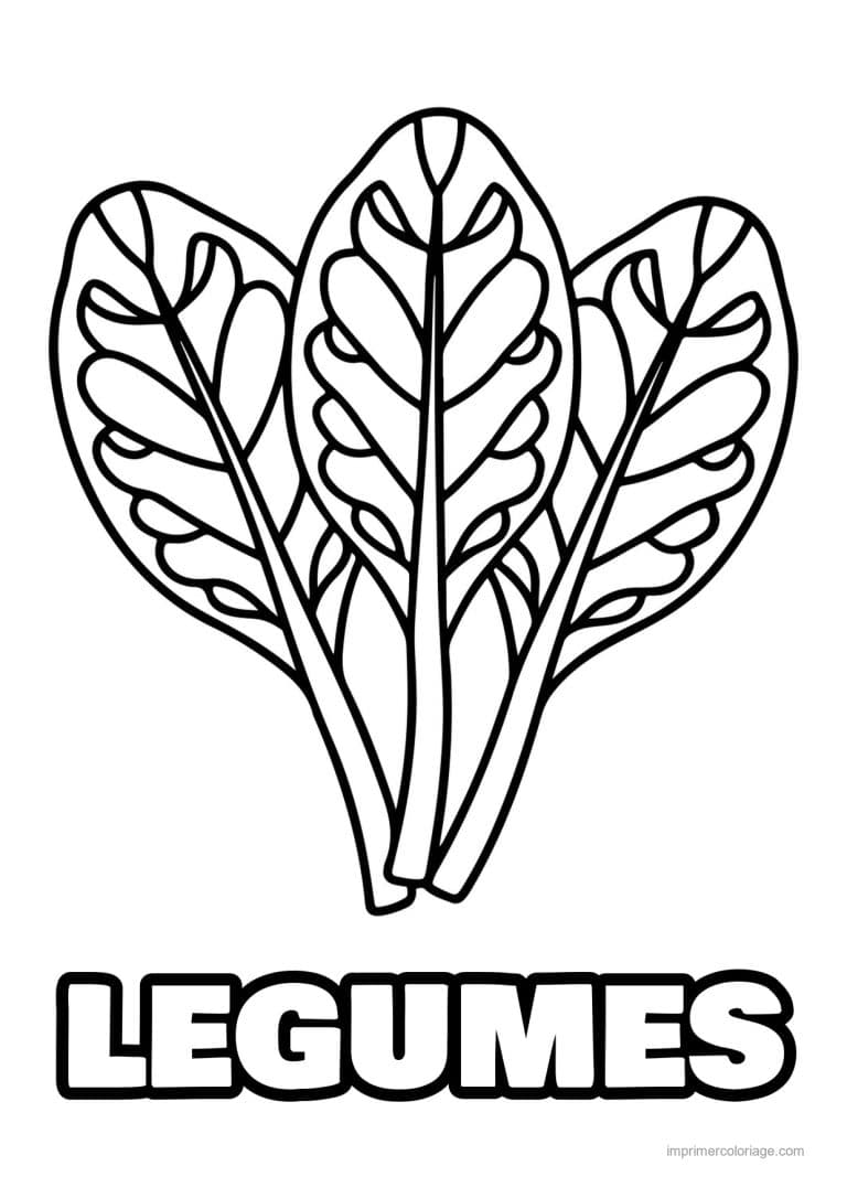 coloriage legumes feuilles d epinard - dessin gratuit &agrave; imprimer