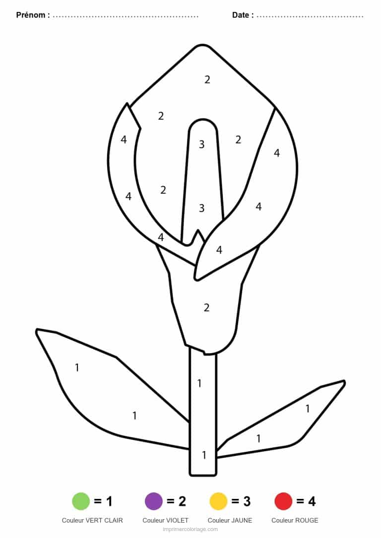 coloriage magique printemps arum - dessin gratuit &agrave; imprimer