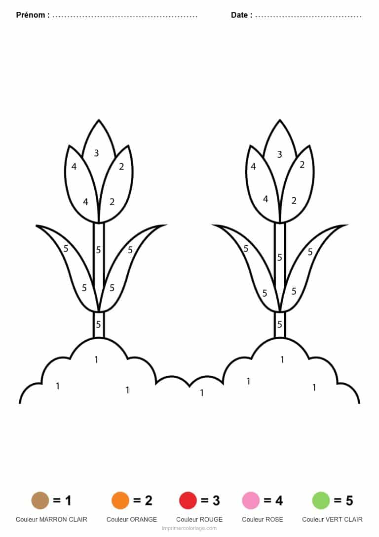 coloriage magique printemps deux tulipes - dessin gratuit &agrave; imprimer