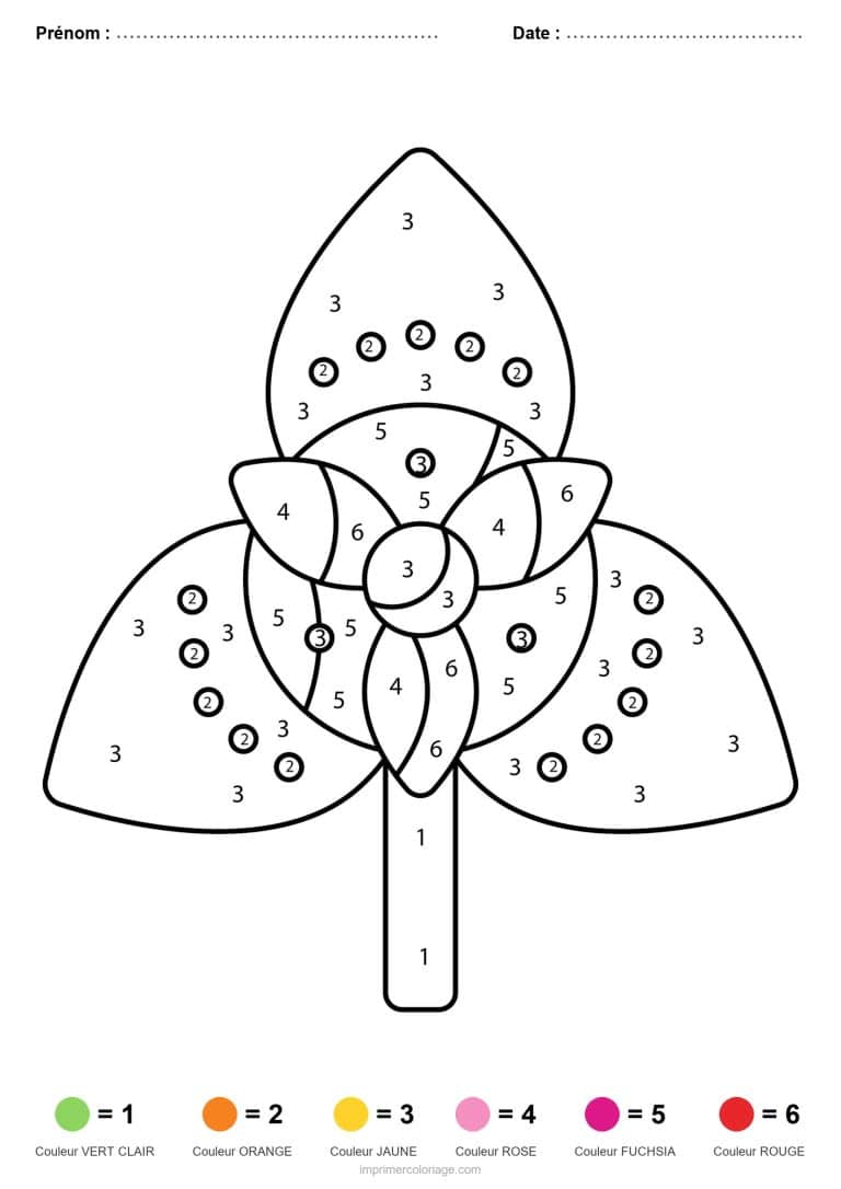 coloriage magique printemps fleur en bouton - dessin gratuit &agrave; imprimer