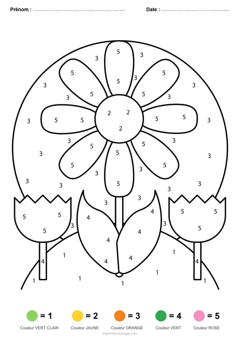 coloriage magique printemps marguerite et tulipes - dessin gratuit &agrave; imprimer