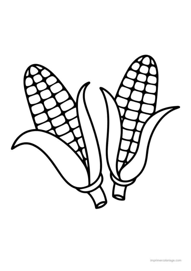 coloriage mais deux epis de mais - dessin gratuit &agrave; imprimer