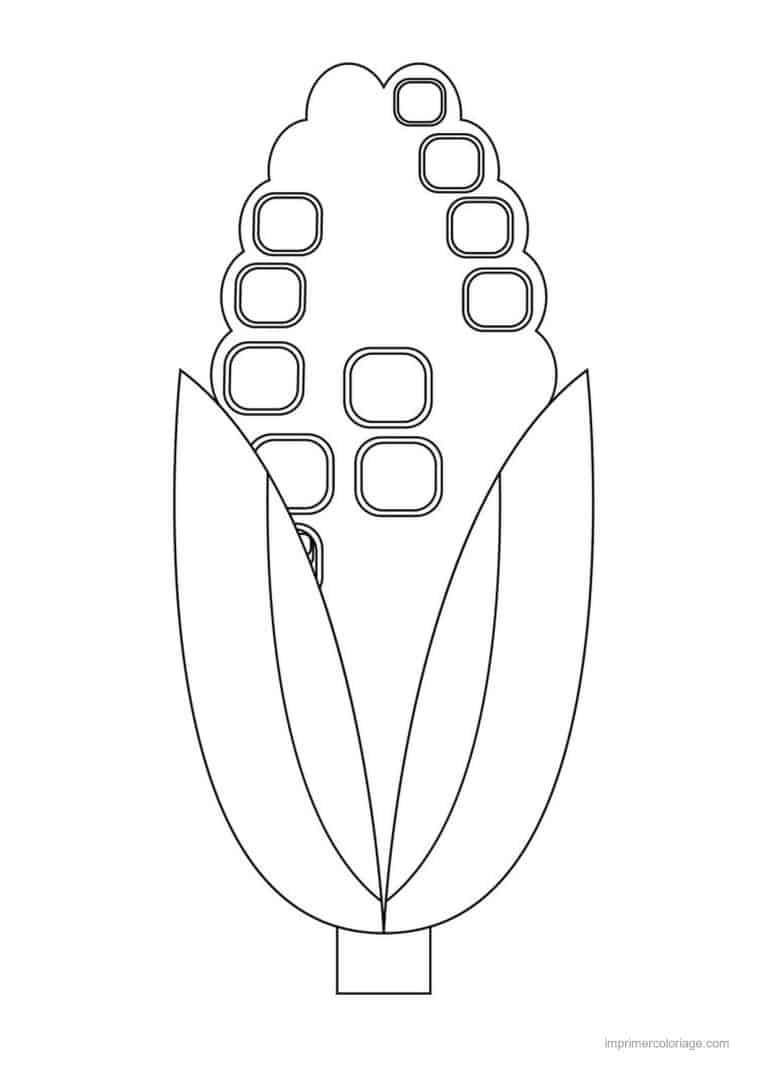 coloriage mais epi de mais au trait epais 2 - dessin gratuit &agrave; imprimer