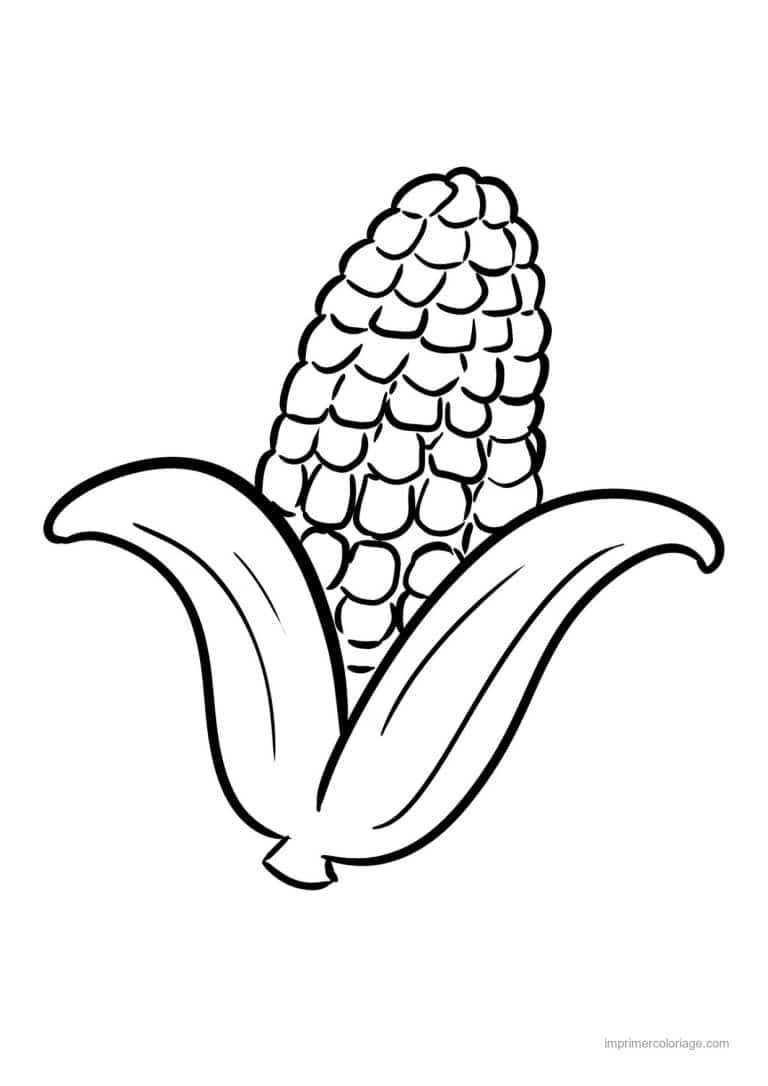 coloriage mais epi de mais au trait epais - dessin gratuit &agrave; imprimer