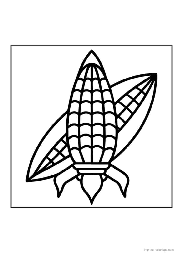 coloriage mais epi de mais et ses feuilles 2 - dessin gratuit &agrave; imprimer