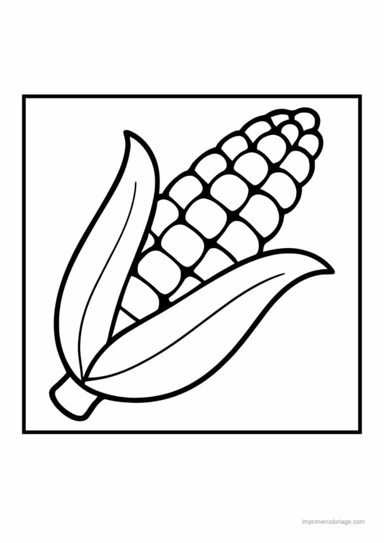 coloriage mais epi de mais et ses feuilles 3 - dessin gratuit &agrave; imprimer