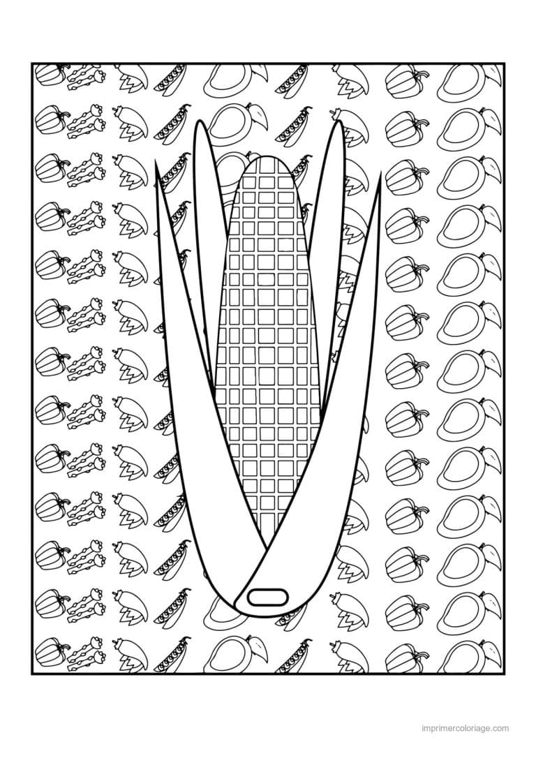 coloriage mais epi de mais et ses feuilles 4 - dessin gratuit &agrave; imprimer