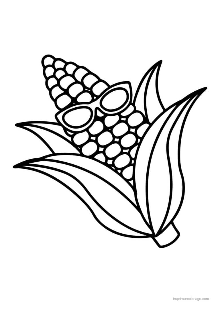 coloriage mais epi de mais et ses feuilles - dessin gratuit &agrave; imprimer