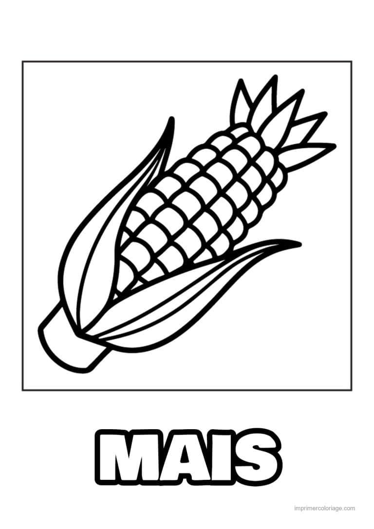 coloriage mais epi de mais et ses grains 2 - dessin gratuit &agrave; imprimer