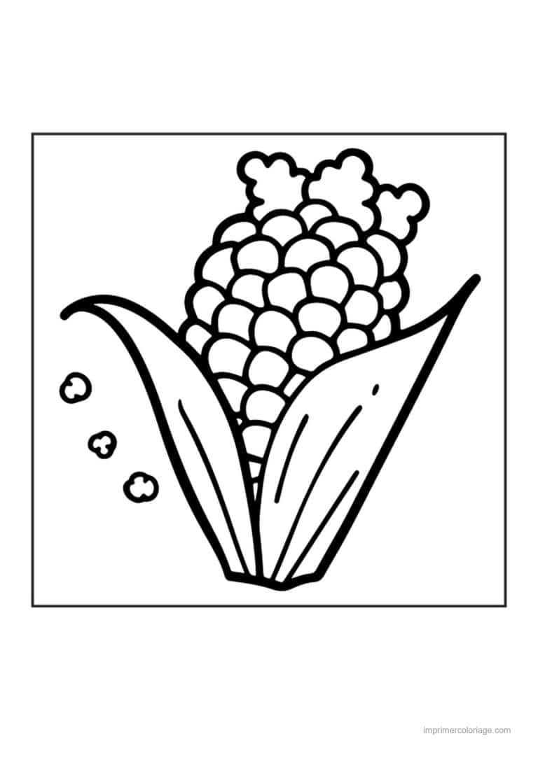 coloriage mais epi de mais et ses grains - dessin gratuit &agrave; imprimer