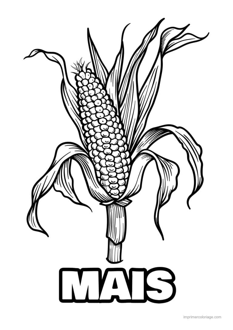 coloriage mais epi de mais grave 45 - dessin gratuit &agrave; imprimer