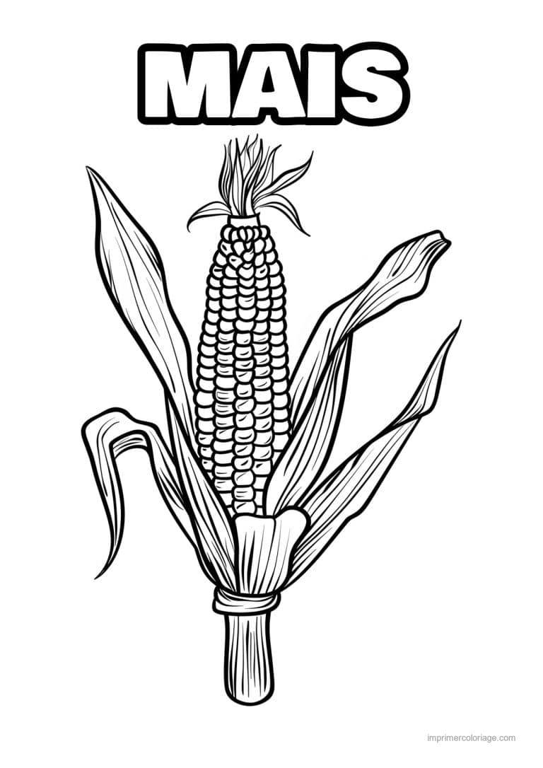 coloriage mais epi de mais grave 81 - dessin gratuit &agrave; imprimer