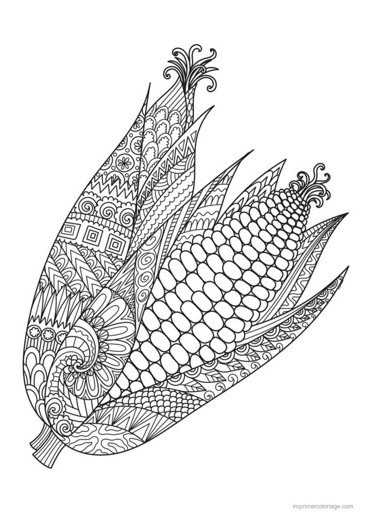 coloriage mais epi de mais mandala - dessin gratuit &agrave; imprimer