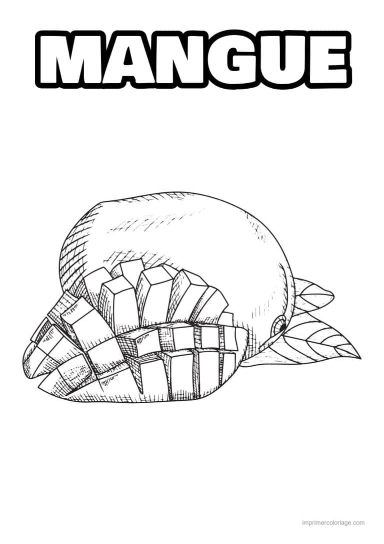 coloriage mangue mangue entiere et quadrillee 2 - dessin gratuit &agrave; imprimer