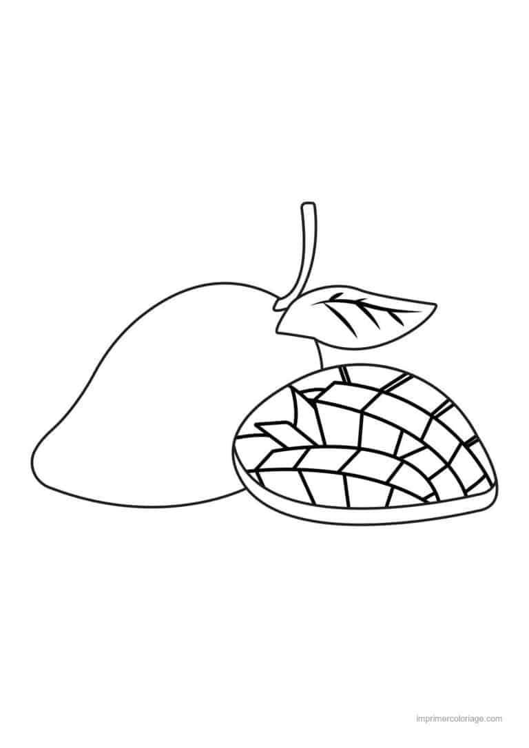 coloriage mangue mangue entiere et quadrillee - dessin gratuit &agrave; imprimer