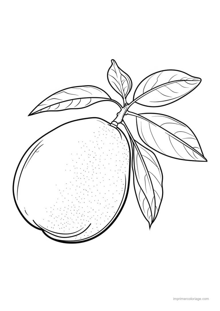coloriage mangue mangue et ses feuilles 198 - dessin gratuit &agrave; imprimer