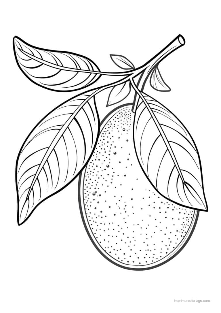 coloriage mangue mangue et ses feuilles 204 - dessin gratuit &agrave; imprimer