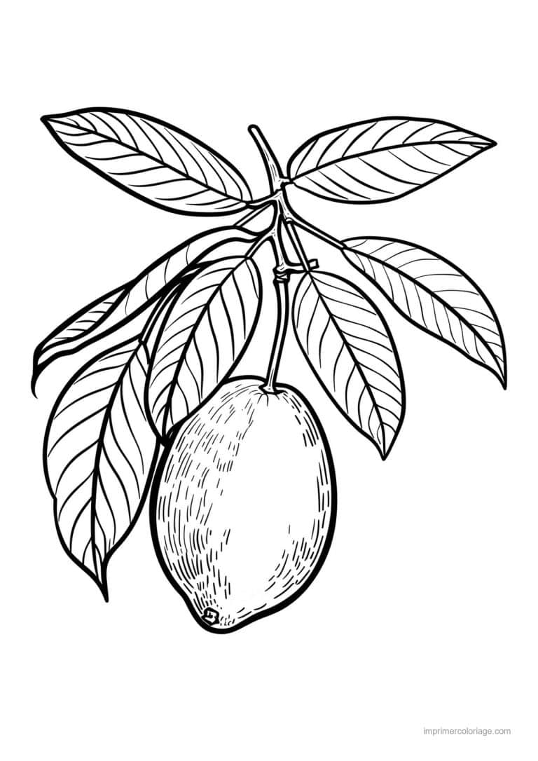 coloriage mangue mangue gravee 159 - dessin gratuit &agrave; imprimer