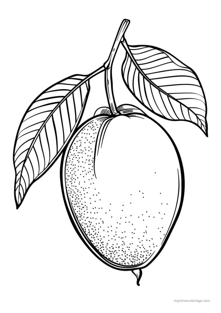 coloriage mangue mangue gravee 160 - dessin gratuit &agrave; imprimer