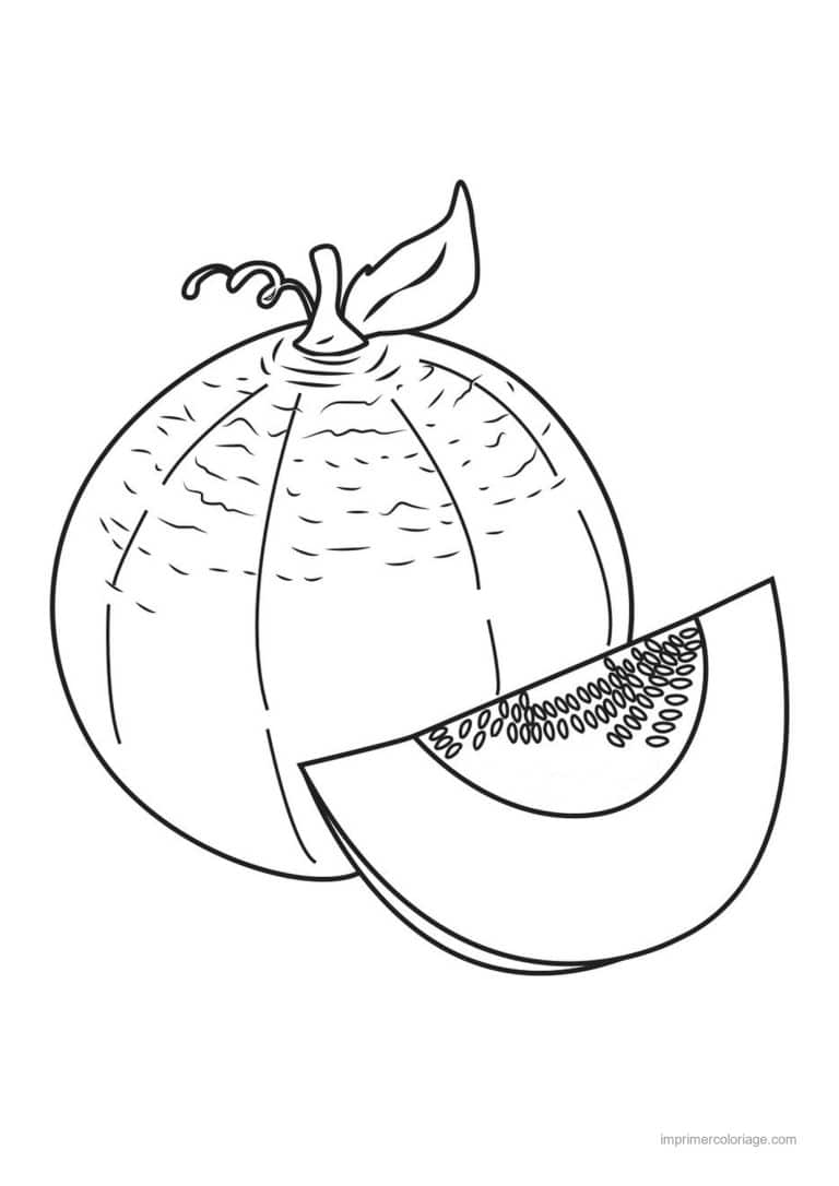 coloriage melon cantaloup et sa tranche - dessin gratuit &agrave; imprimer