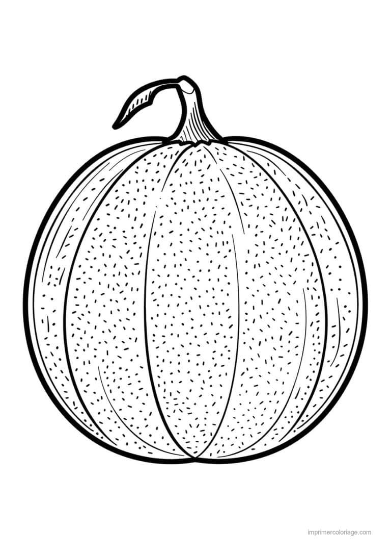 coloriage melon melon cotele 126 - dessin gratuit &agrave; imprimer