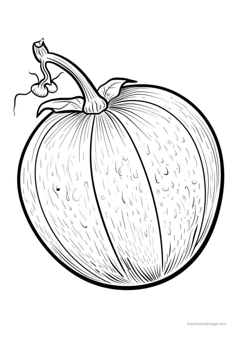 coloriage melon melon cotele 158 - dessin gratuit &agrave; imprimer
