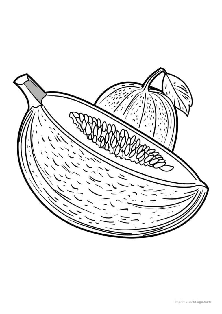 coloriage melon melon cotele 175 - dessin gratuit &agrave; imprimer
