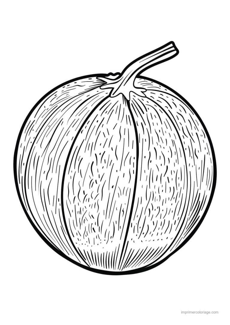 coloriage melon melon cotele - dessin gratuit &agrave; imprimer