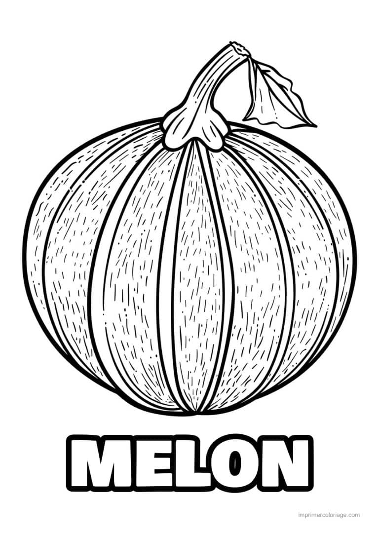 coloriage melon melon cotele 88 - dessin gratuit &agrave; imprimer