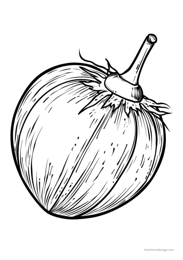 coloriage melon melon grave 171 - dessin gratuit &agrave; imprimer